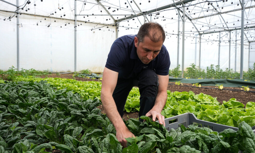Assises territoriales de l’agroécologie et de l’alimentation