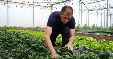 Assises territoriales de l’agroécologie et de l’alimentation
