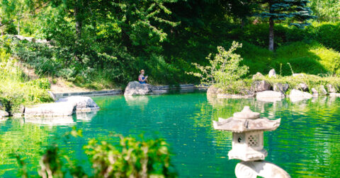 Jardin japonais Dijon
