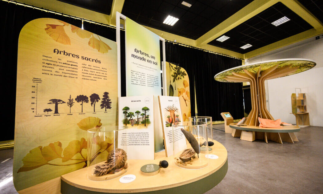 Exposition arbres au jardin de l'Arquebuse