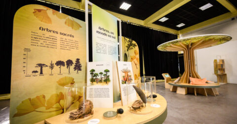 Exposition arbres au jardin de l'Arquebuse